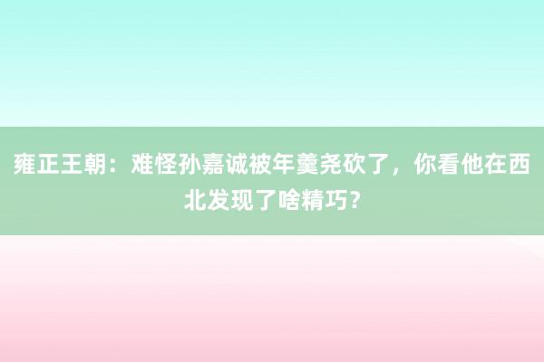 雍正王朝：难怪孙嘉诚被年羹尧砍了，你看他在西北发现了啥精巧？