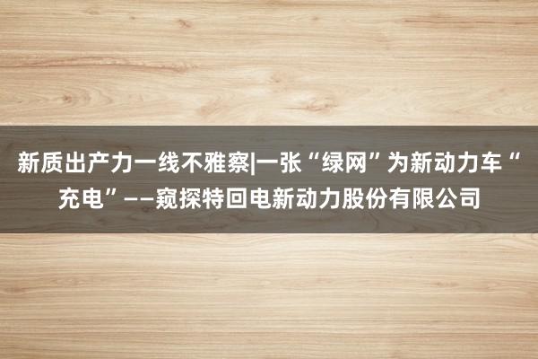 新质出产力一线不雅察|一张“绿网”为新动力车“充电”——窥探特回电新动力股份有限公司