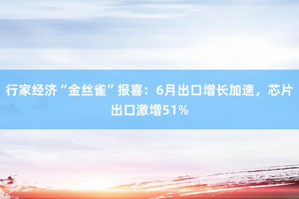 行家经济“金丝雀”报喜：6月出口增长加速，芯片出口激增51%