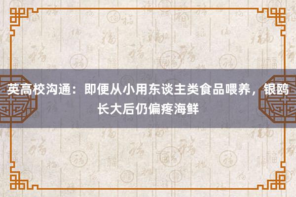 英高校沟通：即便从小用东谈主类食品喂养，银鸥长大后仍偏疼海鲜