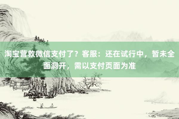 淘宝营救微信支付了？客服：还在试行中，暂未全面洞开，需以支付页面为准