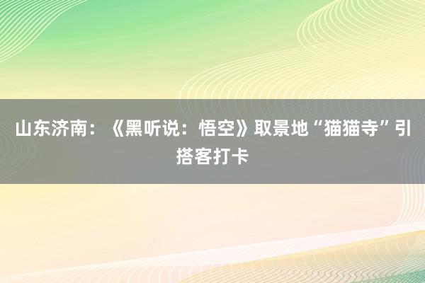 山东济南：《黑听说：悟空》取景地“猫猫寺”引搭客打卡