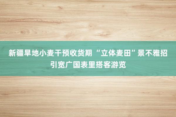 新疆旱地小麦干预收货期 “立体麦田”景不雅招引宽广国表里搭客游览