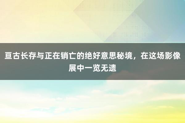 亘古长存与正在销亡的绝好意思秘境，在这场影像展中一览无遗