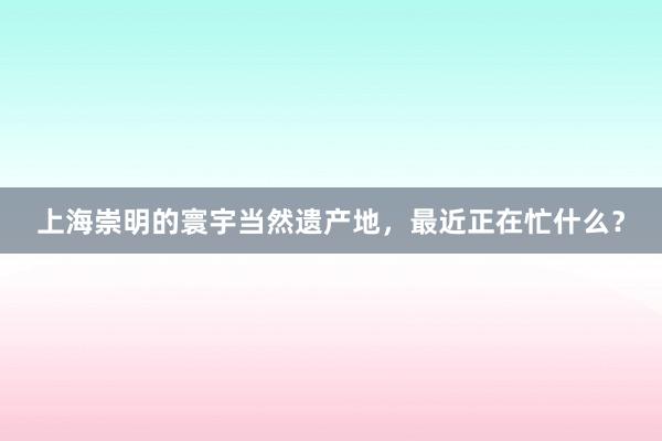 上海崇明的寰宇当然遗产地，最近正在忙什么？