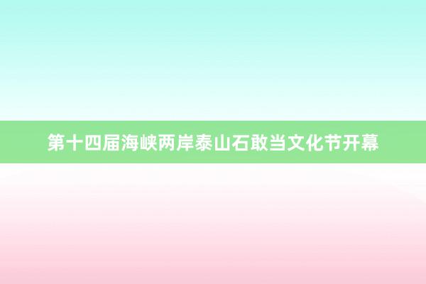 第十四届海峡两岸泰山石敢当文化节开幕