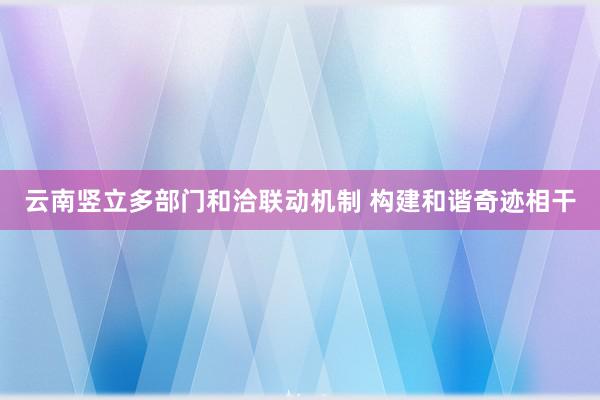 云南竖立多部门和洽联动机制 构建和谐奇迹相干