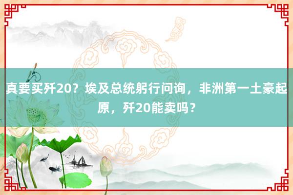 真要买歼20？埃及总统躬行问询，非洲第一土豪起原，歼20能卖吗？