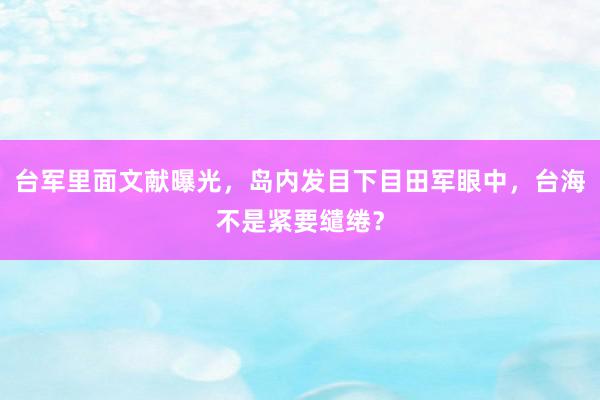 台军里面文献曝光，岛内发目下目田军眼中，台海不是紧要缱绻？